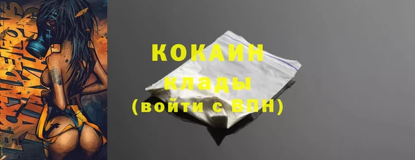 ГАЛЛЮЦИНОГЕННЫЕ ГРИБЫ Кукмор