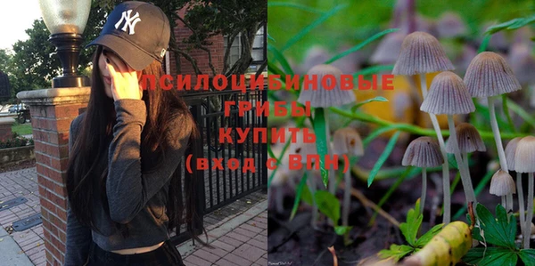 стаф Лабытнанги