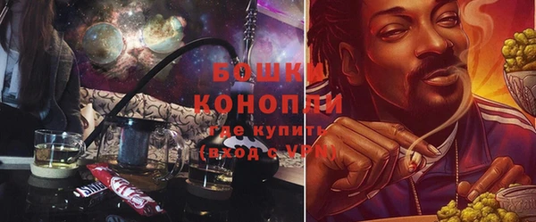 индика Майский