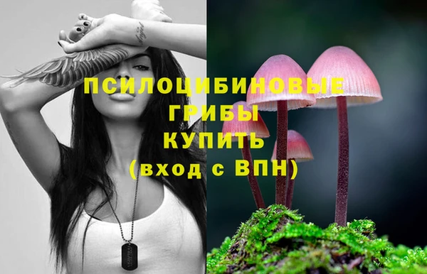 дмт Дегтярск