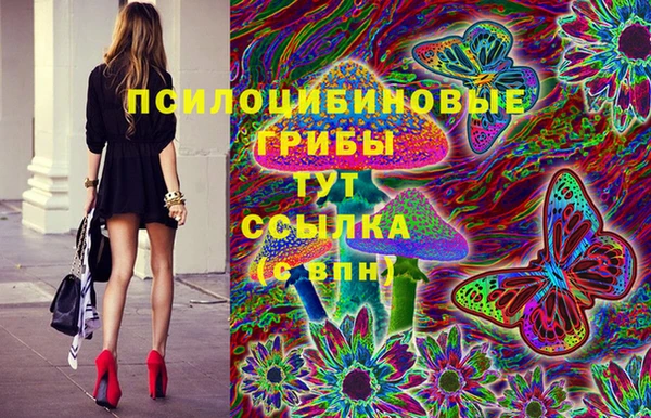 стаф Лабытнанги