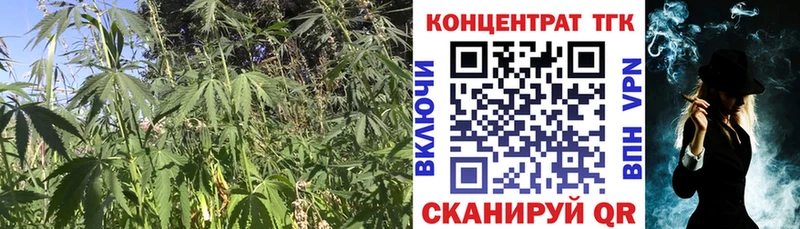 kraken ссылки Лагань ТГК THC oil