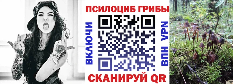 hydra сайт  Лагань  Галлюциногенные грибы GOLDEN TEACHER 